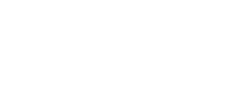 Logo anpada white Logo anpada blanco